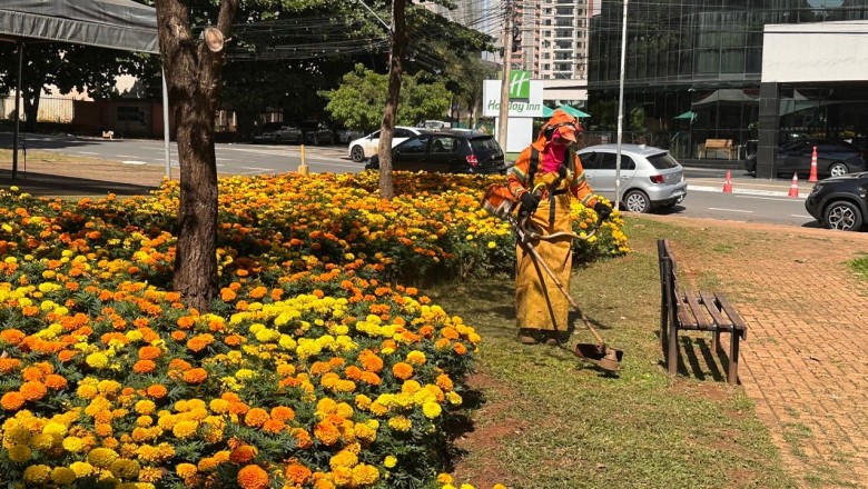 Goiânia recebe mutirão de paisagismo: mais de 90 endereços atendidos em três dias