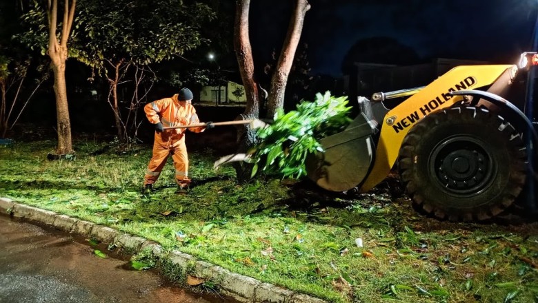 Temporal em Goiânia: 27 árvores caem e Comurg retira 105 toneladas de resíduos; veja os pontos afetados