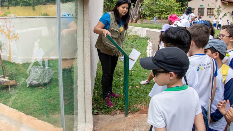 Trilhas, oficinas e teatro: mais de 120 estudantes terão imersão ambiental no Parque Areião nesta sexta (19/6)