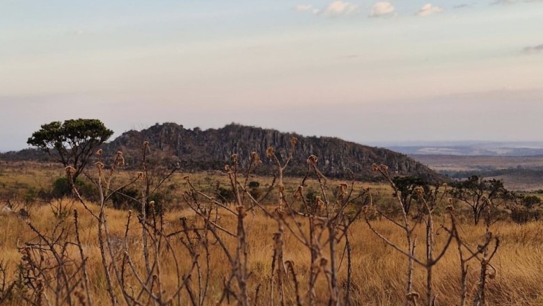 Seca severa prevista para 2026 leva Goiás a ampliar combate a incêndios com brigadas comunitárias remuneradas