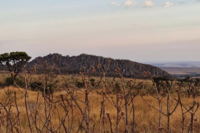 Seca severa prevista para 2026 leva Goiás a ampliar combate a incêndios com brigadas comunitárias remuneradas