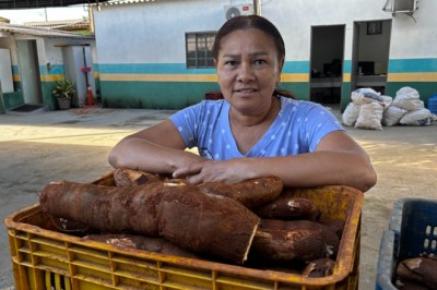Goiás amplia prazos do PAA: entregas até 11 de dezembro e R$ 33,3 milhões para mais de 2 mil agricultores