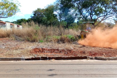 Para conter lixo e mato alto, Goiânia vai limpar 133 lotes autuados; custos ficam com os donos