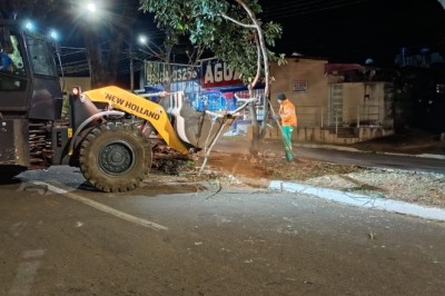 Em cinco dias, Comurg remove 510 toneladas de massa verde em Goiânia; veja os pontos atendidos