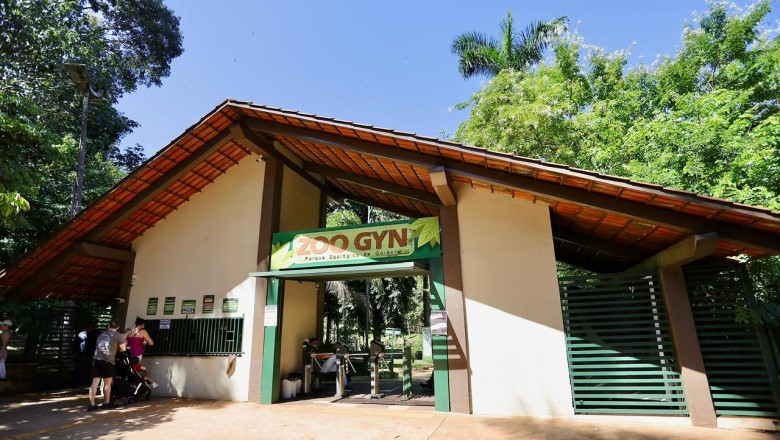 Férias em Goiânia: Zoológico abre de quarta a domingo com piquenique, espaço para TEA e mais de 400 animais; veja horários e preços