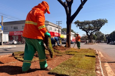 Comurg conclui revitalização com flamboyants e 1.570 m² de grama na Região Leste de Goiânia; veja os locais