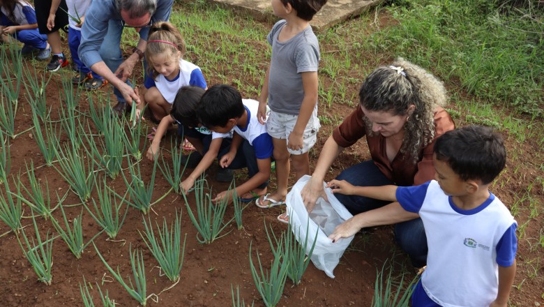 Goiânia capacita educadores para implantar hortas escolares; curso começa em 17 de agosto