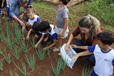 Goiânia capacita educadores para implantar hortas escolares; curso começa em 17 de agosto