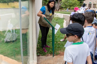 Calor extremo em Goiânia: escolas ajustam cardápio e Educação Física; veja as novas medidas