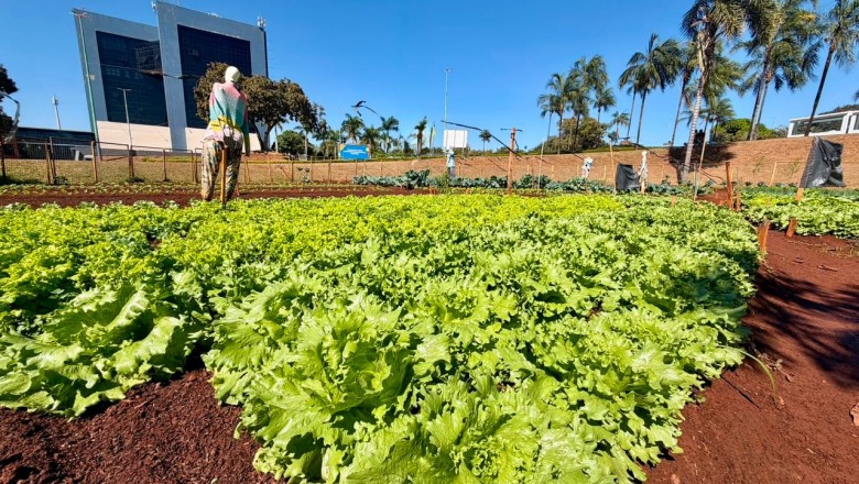 2 kg de recicláveis valem 1 kg de alimentos: Goiânia inicia programa-piloto no Jardim Botânico