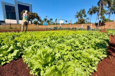 2 kg de recicláveis valem 1 kg de alimentos: Goiânia inicia programa-piloto no Jardim Botânico