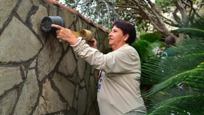 Chikungunya dispara em Goiânia: 709 casos confirmados e força-tarefa mira 2,5 milhões de vistorias