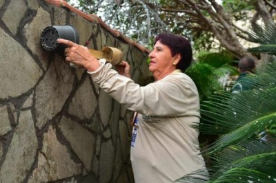 Chikungunya dispara em Goiânia: 709 casos confirmados e força-tarefa mira 2,5 milhões de vistorias