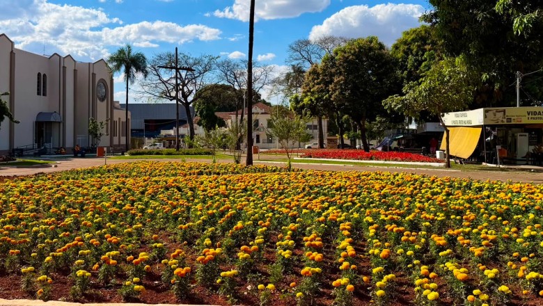 Comurg inicia plano para manter 35 canteiros floridos na seca; veja as medidas