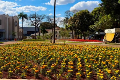 Comurg inicia plano para manter 35 canteiros floridos na seca; veja as medidas