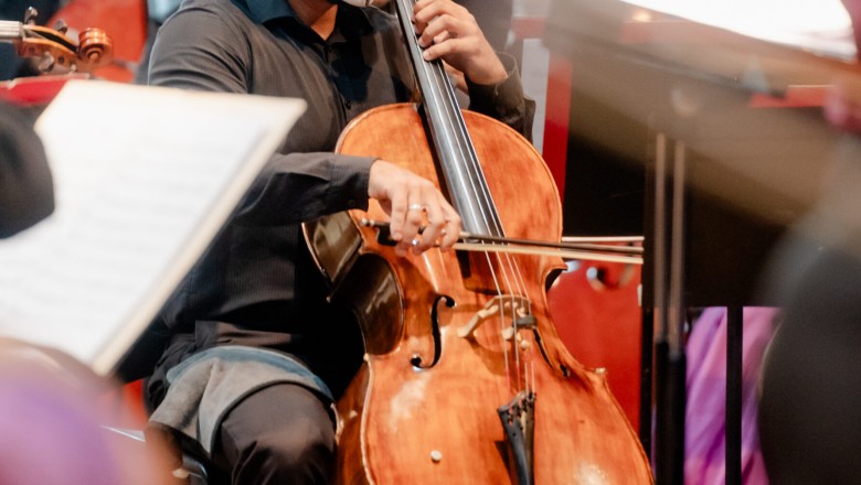 Cinema In Concert: Orquestra Sinfônica de Goiânia toca trilhas de John Williams e Hans Zimmer no Teatro Goiânia; entrada solidaria com 2 kg de alimento (26/8)
