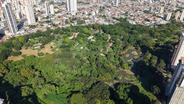 Quase unanimidade: 98,33% recomendam Goiânia; gastronomia lidera e 16,25% gastam mais de R$ 1 mil por dia