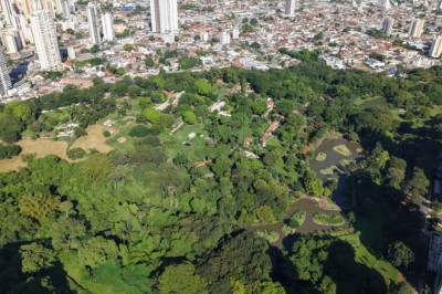 Quase unanimidade: 98,33% recomendam Goiânia; gastronomia lidera e 16,25% gastam mais de R$ 1 mil por dia