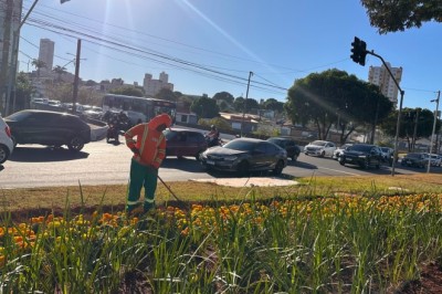 Goiânia inicia preparação para plantar 40 mil mudas em praças, rotatórias e canteiros