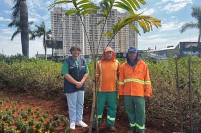 Goiânia inicia plantio de 40 mil mudas ornamentais em praças, rotatórias e canteiros