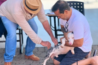 Goiânia amplia vacinação contra a raiva e oferece doses gratuitas para cães e gatos em 141 pontos neste sábado