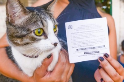 Goiânia vacina mais de 74 mil cães e gatos contra a raiva em dois dias de campanha