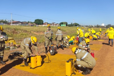 Brigada Municipal já combateu 11 incêndios em parques de Goiânia desde agosto