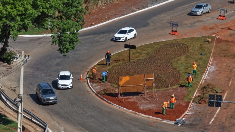 Rotatória próxima ao Hugol ganha novo paisagismo com árvores, flores e gramado