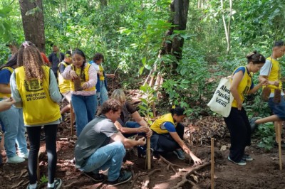Goiânia prepara plantio de 25 mil árvores durante o período de chuvas