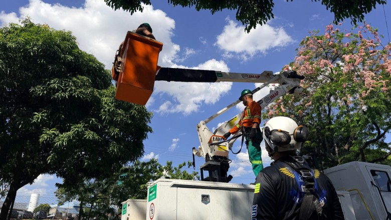Comurg treina 33 servidores para reduzir riscos em podas e trabalhos em altura em Goiânia