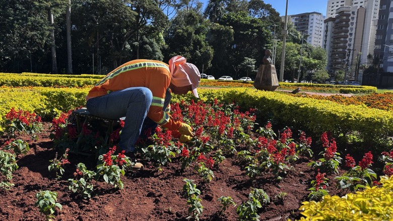 Goiânia remove ervas daninhas de 179 mil m² em 42 pontos da cidade nesta semana